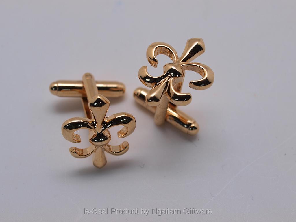 11-010-11-FDL (2).JPG